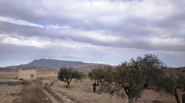 Múrcia - Jumilla - 160000m2