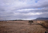 Terreny no urbanitzable en venda a la España, Jumella, ref.: TR335433 foto