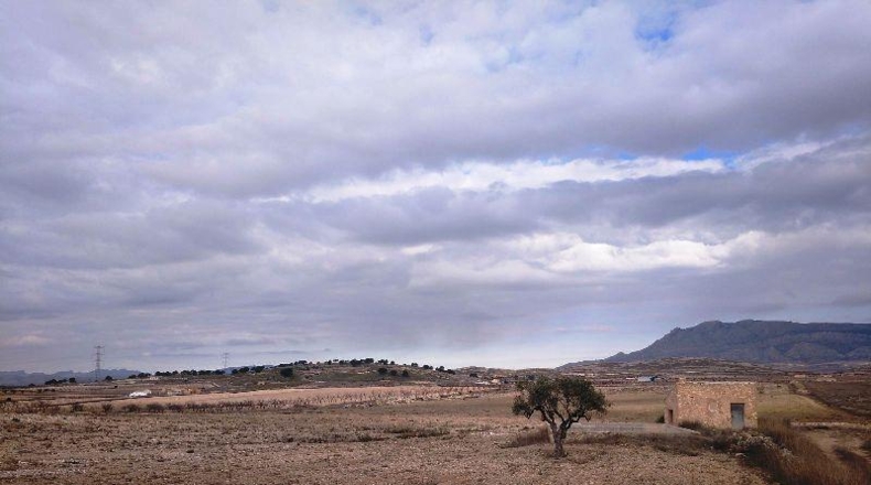 Múrcia - Jumilla - 160000m2