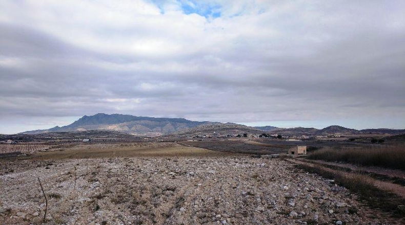Múrcia - Jumilla - 160000m2