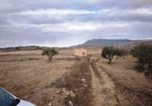Terreny no urbanitzable en venda a la España, Jumella, ref.: TR335433 foto