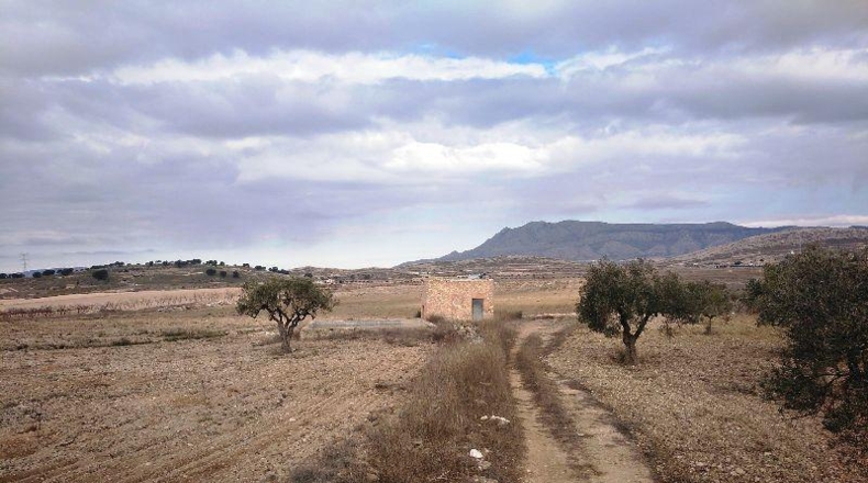 Múrcia - Jumilla - 160000m2