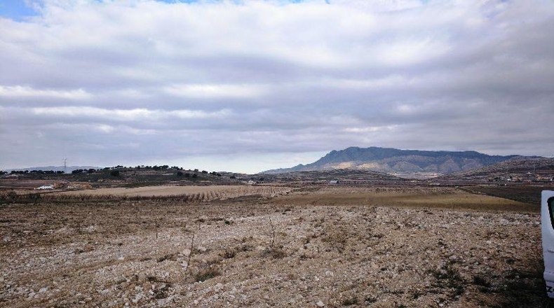 Múrcia - Jumilla - 160000m2