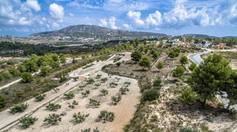 Alicante - Moraira - 10010m2