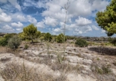 Non-developable land for sale on España, Moraira, ref: TR112694 photo