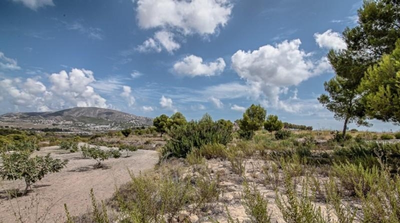 Alicante - Moraira - 10010m2