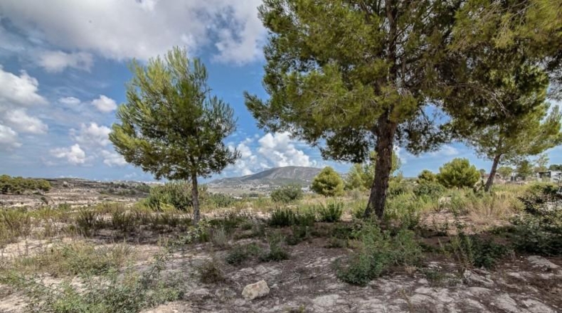 Alicante - Moraira - 10010m2