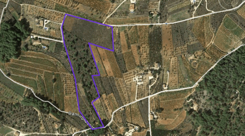 Alicante - Jalón - 35000m2