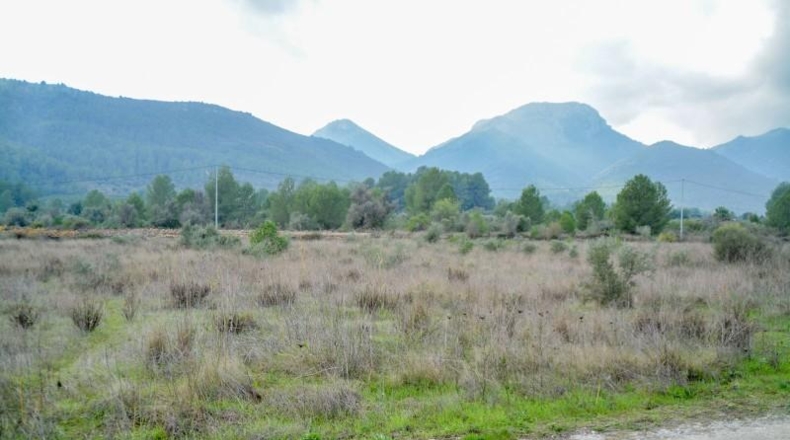 Alicante - Jalón - 35000m2