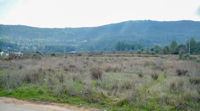 Alicante - Jalón - 35000m2