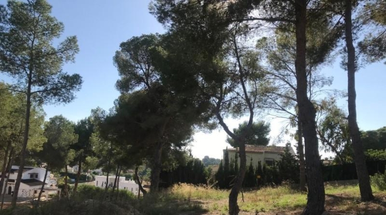 Alicante - Moraira - 968m2