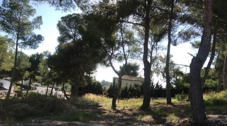 Alicante - Moraira - 968m2