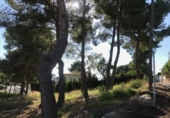 Urban land for sale on España, Teulada, ref: TR113327 photo