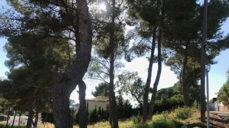 Alicante - Moraira - 968m2