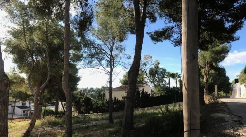 Alicante - Moraira - 968m2
