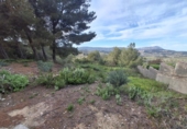 Non-developable land for sale on España, Moraira, ref: TR113650 photo