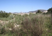 Non-developable land for sale on España, Moraira, ref: TR113650 photo
