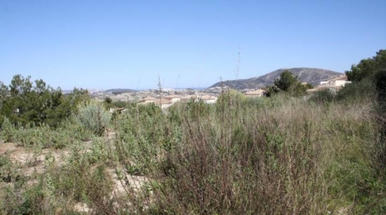 Alicante - Moraira - 800m2