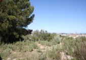 Non-developable land for sale on España, Moraira, ref: TR113650 photo
