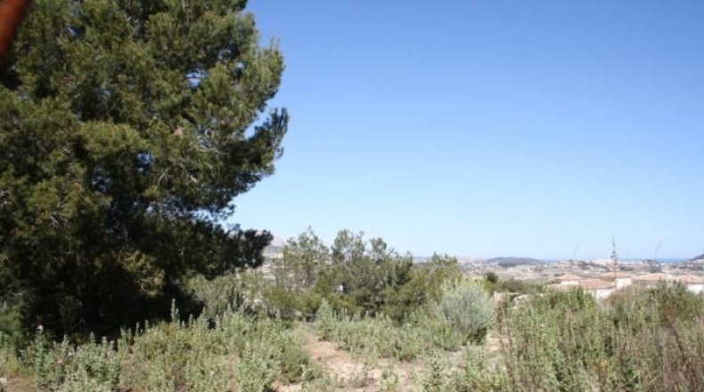 Alicante - Moraira - 800m2