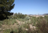 Non-developable land for sale on España, Moraira, ref: TR113650 photo