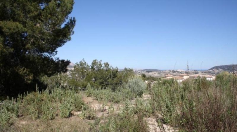 Alicante - Moraira - 800m2