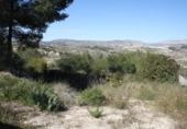 Non-developable land for sale on España, Moraira, ref: TR113650 photo