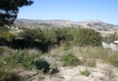 Non-developable land for sale on España, Moraira, ref: TR113650 photo