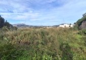 Non-developable land for sale on España, Moraira, ref: TR113650 photo