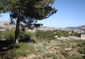Non-developable land for sale on España, Moraira, ref: TR113650 photo