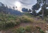 Non-developable land for sale on España, Moraira, ref: TR113650 photo