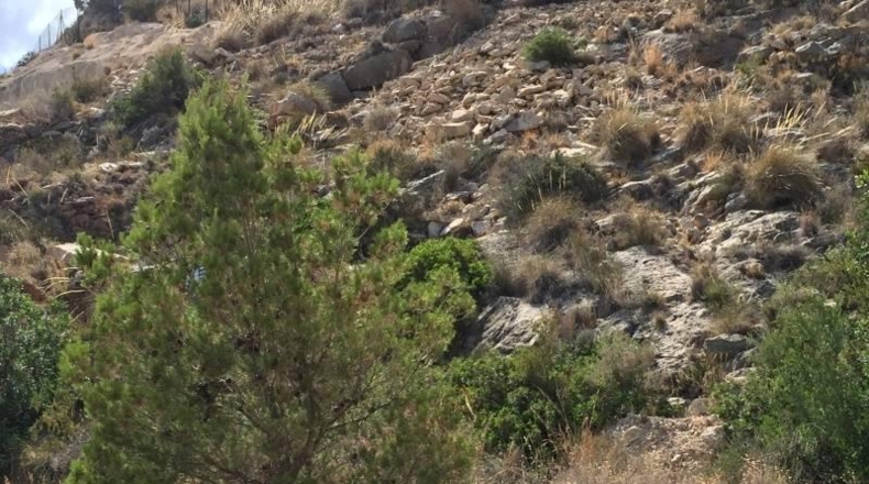 Alicante - Finestrat - 1200m2