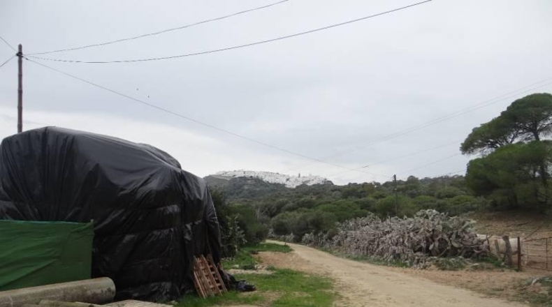 Cádiz - Vejer de la Frontera - 4800m2
