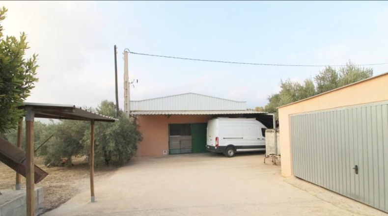 Alicante - la Romana - 8000m2