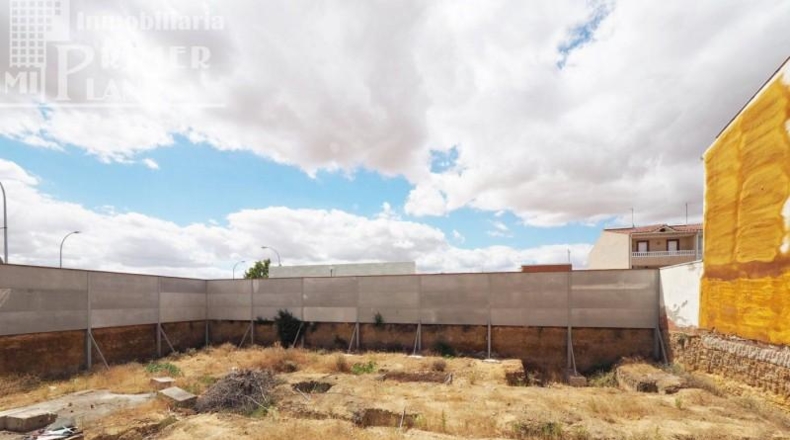 Ciudad Real - Tomelloso - 1000m2