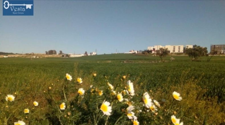Cádiz - Jerez de la Frontera - 14500m2