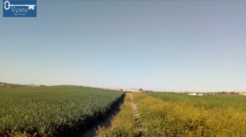 Cádiz - Jerez de la Frontera - 14500m2