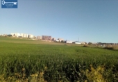 Parcel·la urbanitzable en venda a la España, Jerez de la Frontera, ref.: TR116808 foto
