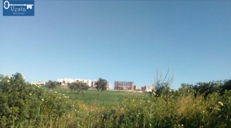 Cádiz - Jerez de la Frontera - 14500m2