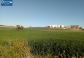 Parcel·la urbanitzable en venda a la España, Jerez de la Frontera, ref.: TR116808 foto