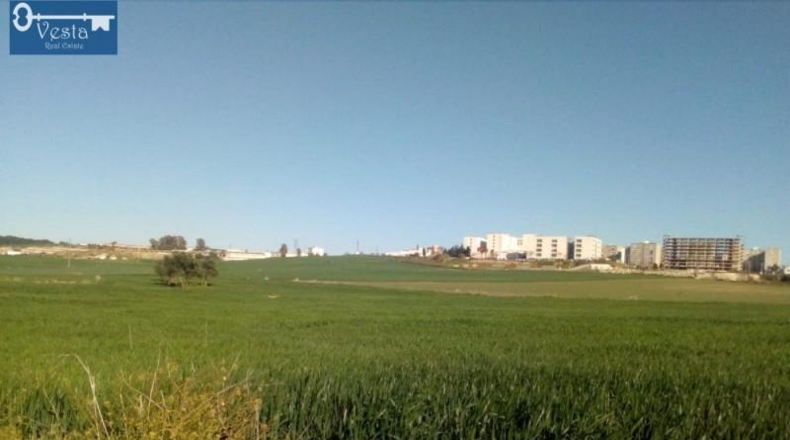 Cádiz - Jerez de la Frontera - 14500m2