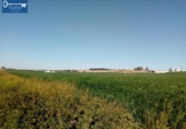 Parcel·la urbanitzable en venda a la España, Jerez de la Frontera, ref.: TR116808 foto