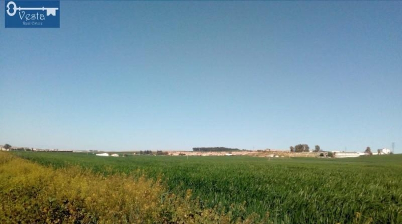 Cádiz - Jerez de la Frontera - 14500m2