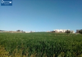 Parcel·la urbanitzable en venda a la España, Jerez de la Frontera, ref.: TR116808 foto