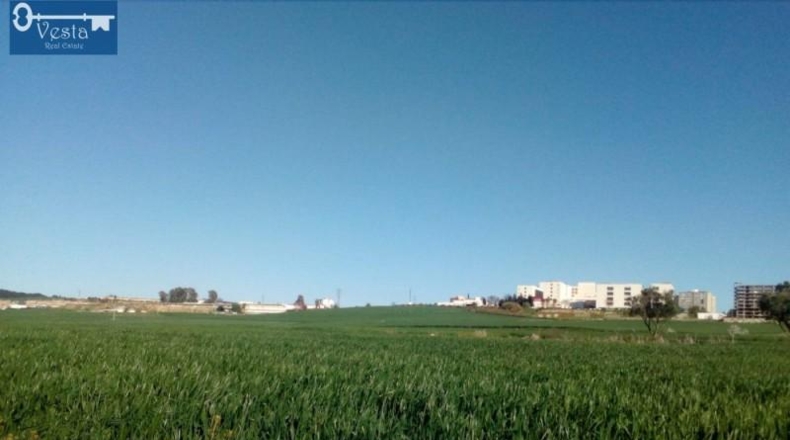 Cádiz - Jerez de la Frontera - 14500m2