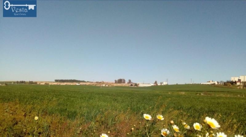 Cádiz - Jerez de la Frontera - 14500m2