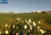 Parcel·la urbanitzable en venda a la España, Jerez de la Frontera, ref.: TR116808 foto
