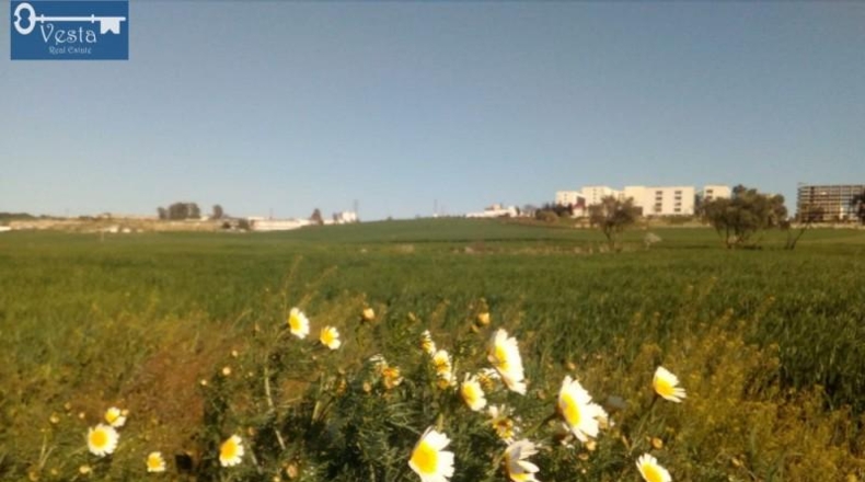 Cádiz - Jerez de la Frontera - 14500m2