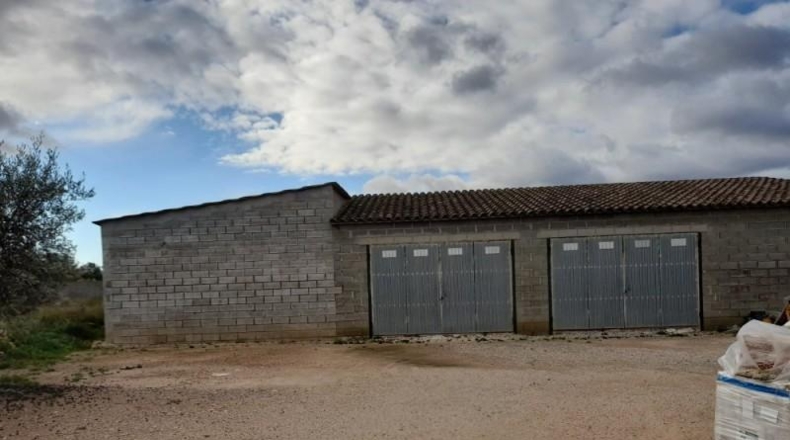 Tarragona - Tivissa - 82800m2