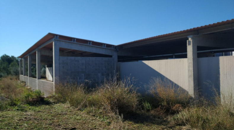 Tarragona - Tivissa - 82800m2